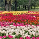 北京旅游 缩略图 2