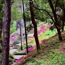 杭州旅游 缩略图 3