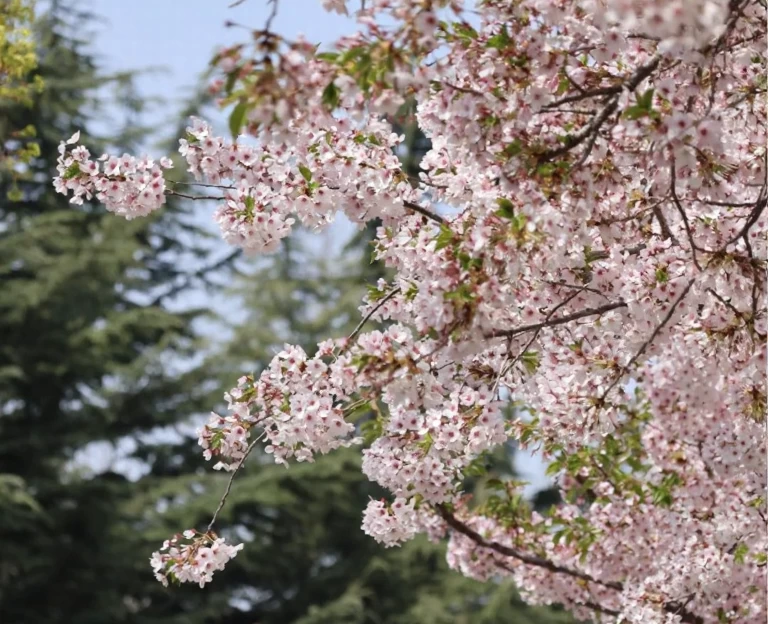大连旅游 1