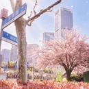 上海旅游 缩略图 3