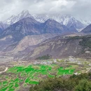 林芝旅游 缩略图 5