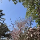 北京旅游 缩略图 4