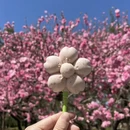 北京旅游 缩略图 5