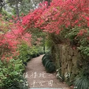杭州旅游 缩略图 1