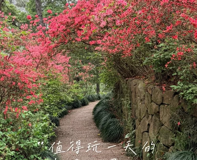 杭州旅游 1