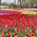 北京旅游 缩略图 8