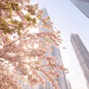 上海旅游 缩略图 4