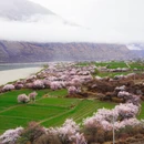 林芝旅游 缩略图 4