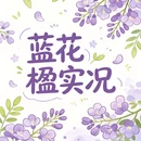 昆明旅游 缩略图 1