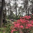 杭州旅游 缩略图 6