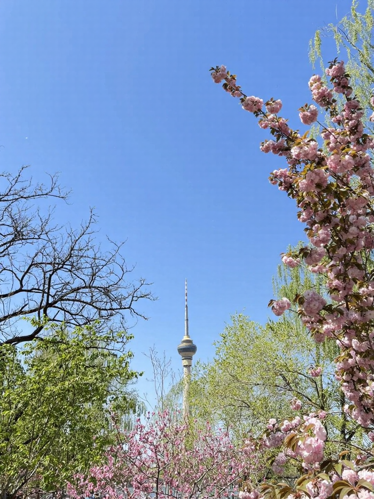 北京旅游