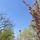 北京旅游 缩略图 1