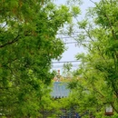 咸阳旅游 缩略图 8