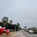 厦门旅游 缩略图 13