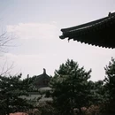 大同旅游 缩略图 10