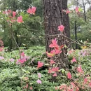 杭州旅游 缩略图 13