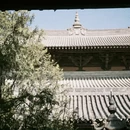 大同旅游 缩略图 3