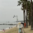 厦门旅游 缩略图 7