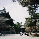 大同旅游 缩略图 6