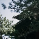 大同旅游 缩略图 5
