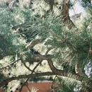 大同旅游 缩略图 9