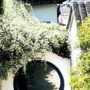 扬州旅游 缩略图 10