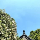 扬州旅游 缩略图 6