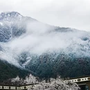 林芝旅游 缩略图 9