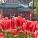 北京旅游 缩略图 8