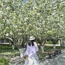 北京旅游 缩略图 1