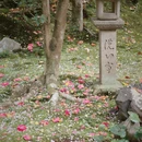 北京旅游 缩略图 7