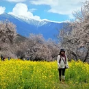 林芝旅游 缩略图 15
