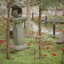 北京旅游 缩略图 13