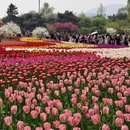 北京旅游 缩略图 10