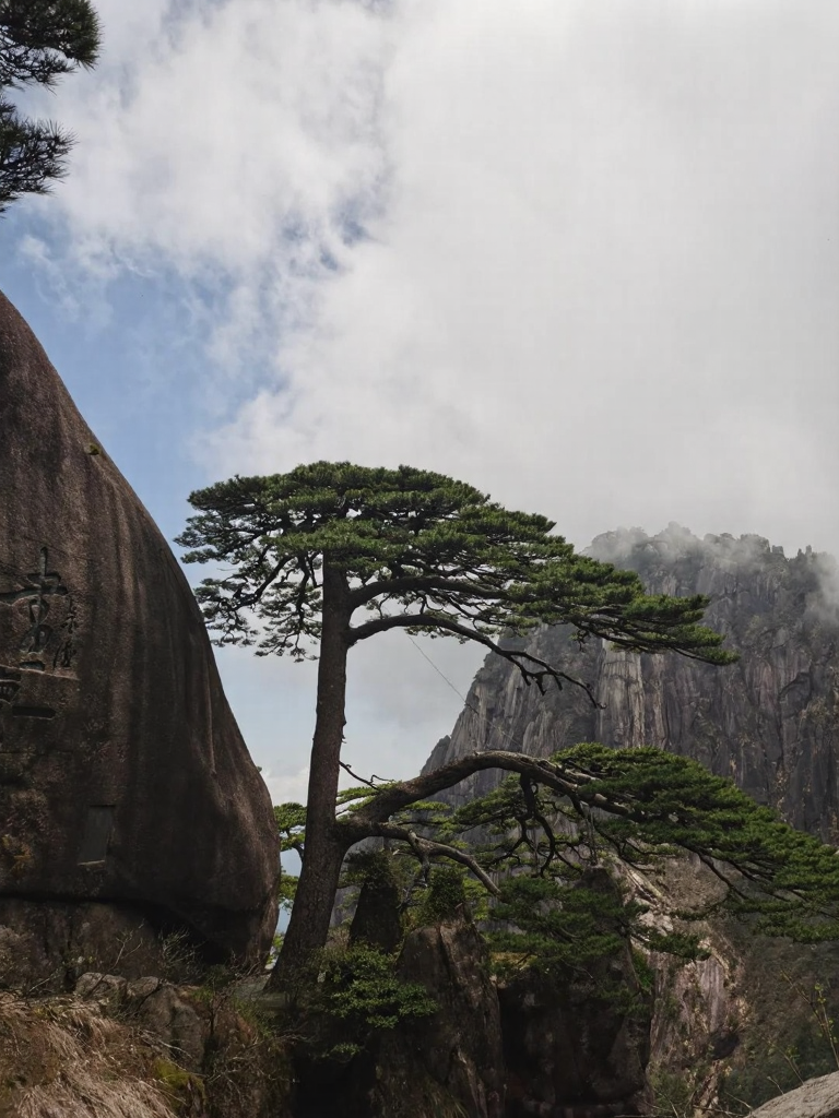 黄山旅游