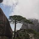 黄山旅游 缩略图 1