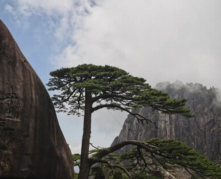 黄山旅游 1