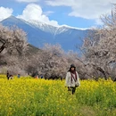 林芝旅游 缩略图 7