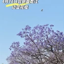 昆明旅游 缩略图 1