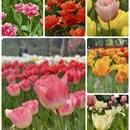 北京旅游 缩略图 1