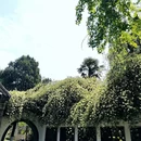 扬州旅游 缩略图 4