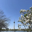 北京旅游 缩略图 2