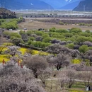 林芝旅游 缩略图 2
