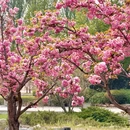 北京旅游 缩略图 12