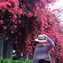 成都旅游 缩略图 4