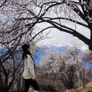 林芝旅游 缩略图 14