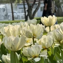 北京旅游 缩略图 3
