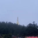 黄山旅游 缩略图 3