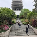 杭州旅游 缩略图 16
