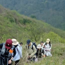 重庆旅游 缩略图 9